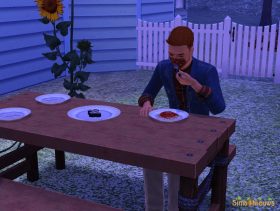 SN review: De Sims 3 Jaargetijden