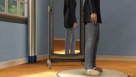 SN review: De Sims 3 Jaargetijden