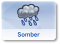 Somber