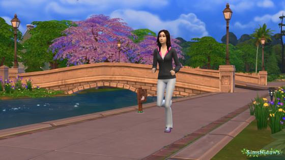 De Sims 4