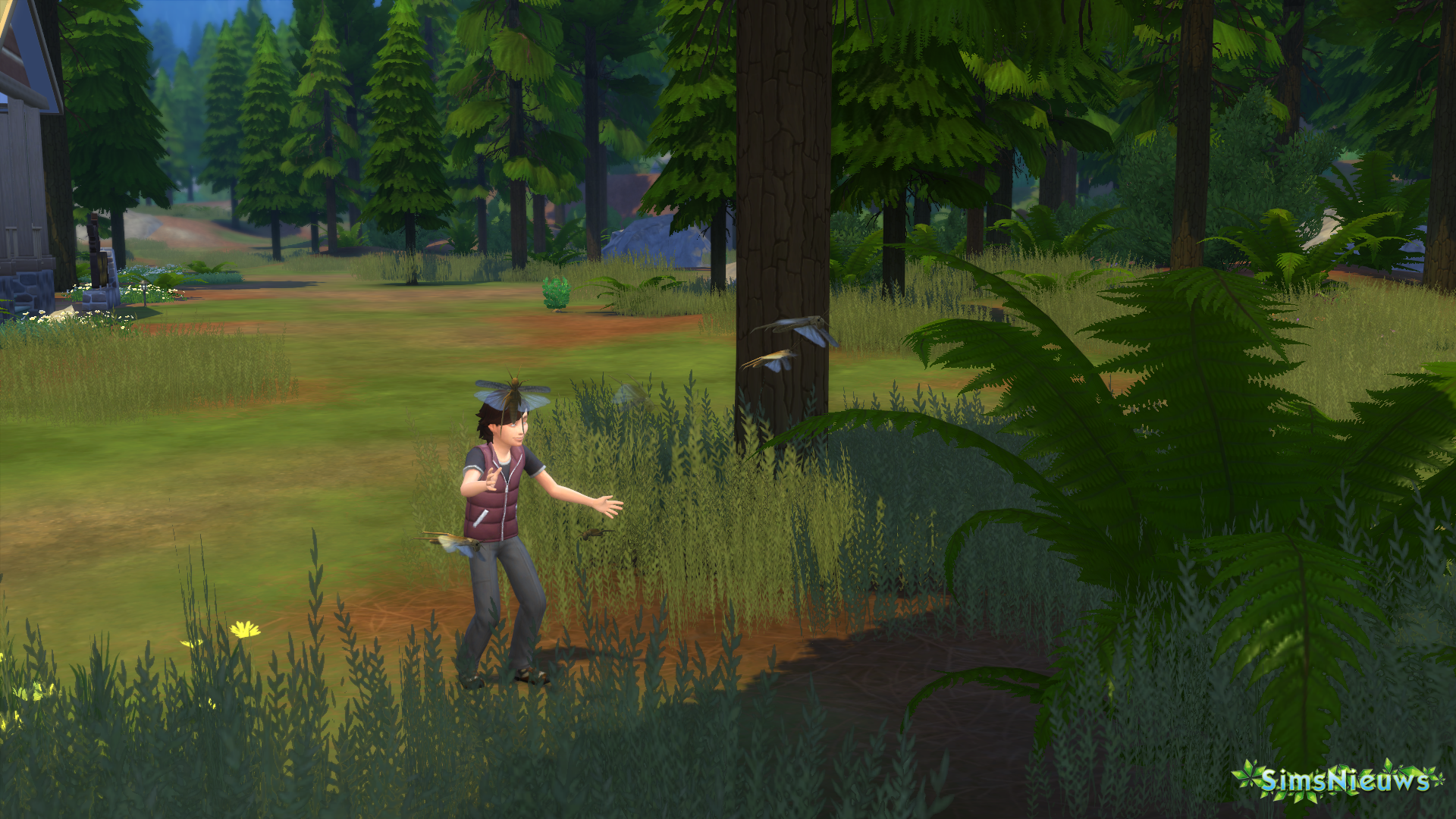 De Sims 4 In de Natuur