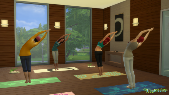 De Sims 4 Wellnessdag