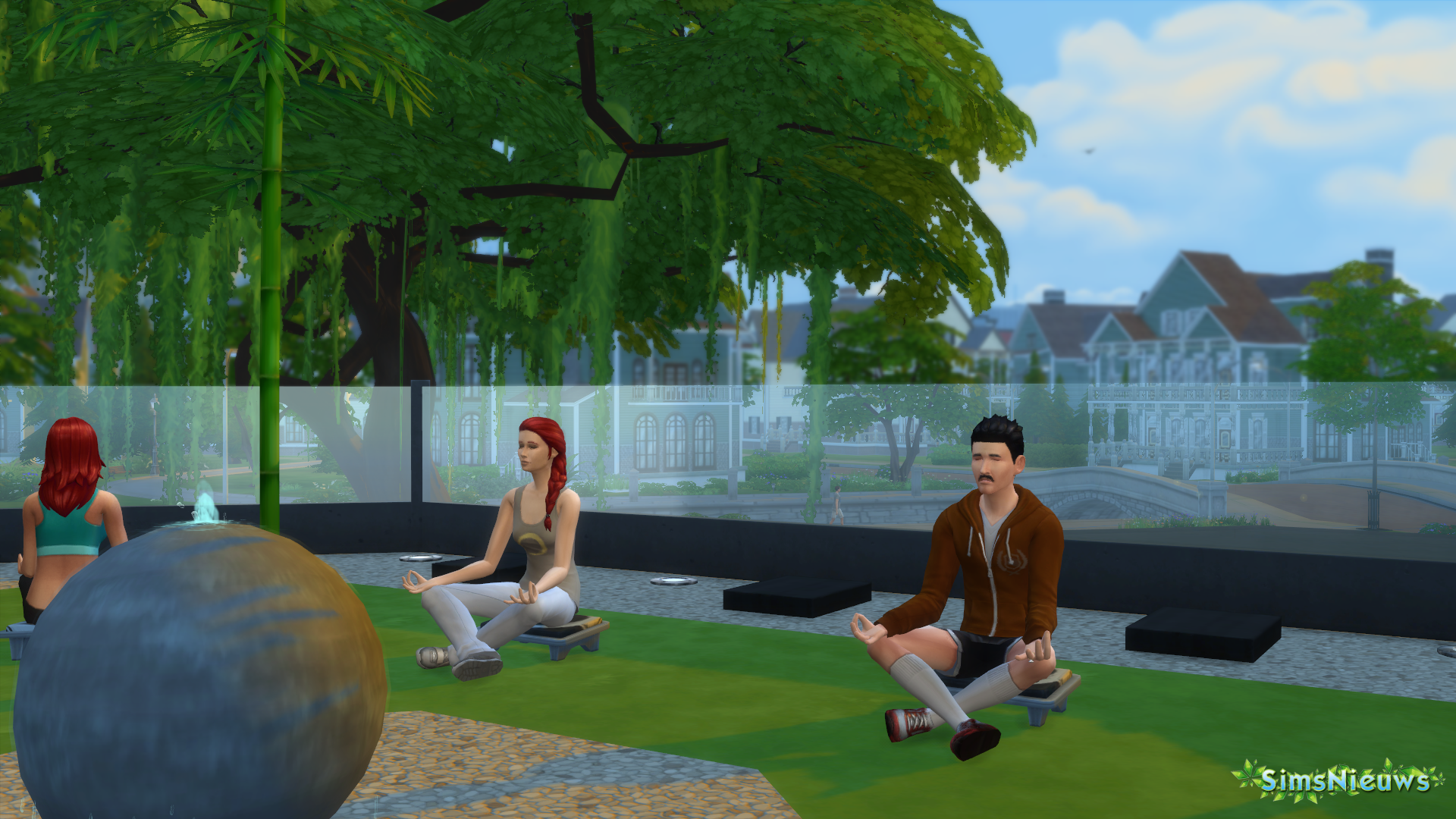 De Sims 4 Wellnessdag
