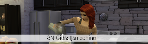 SN Gids: IJsmachine