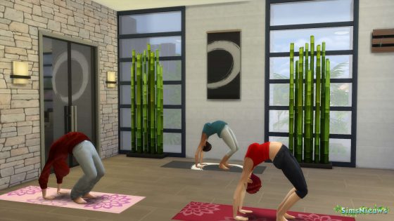 Yoga