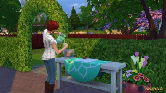 SN Review: De Sims 4 Achtertuin Accessoires - Koop- en Bouwmodus