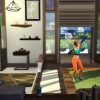 De Sims 4 Fitness Accessoires