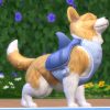 De Sims 4 Honden en Katten