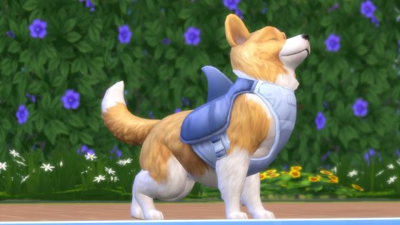 De Sims 4 Honden en Katten