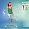 De Sims 4 Jaargetijden: Creëer-een-Sim