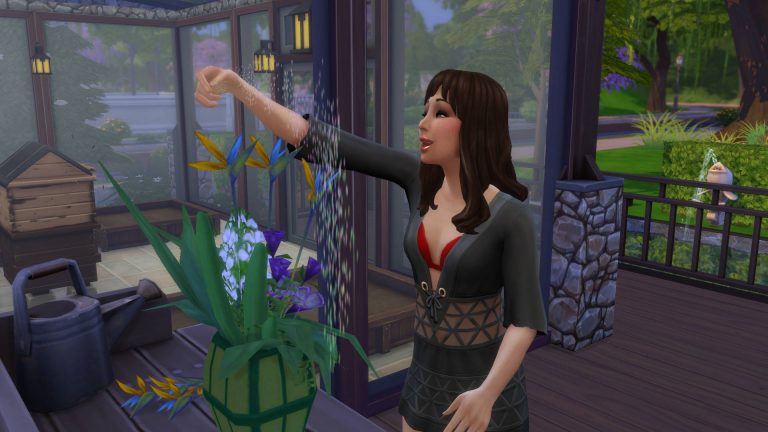 De Sims 4 Vaardigheden Bloemschikken Jaargetijden Sims