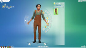 De Sims 4 Ecologisch Leven